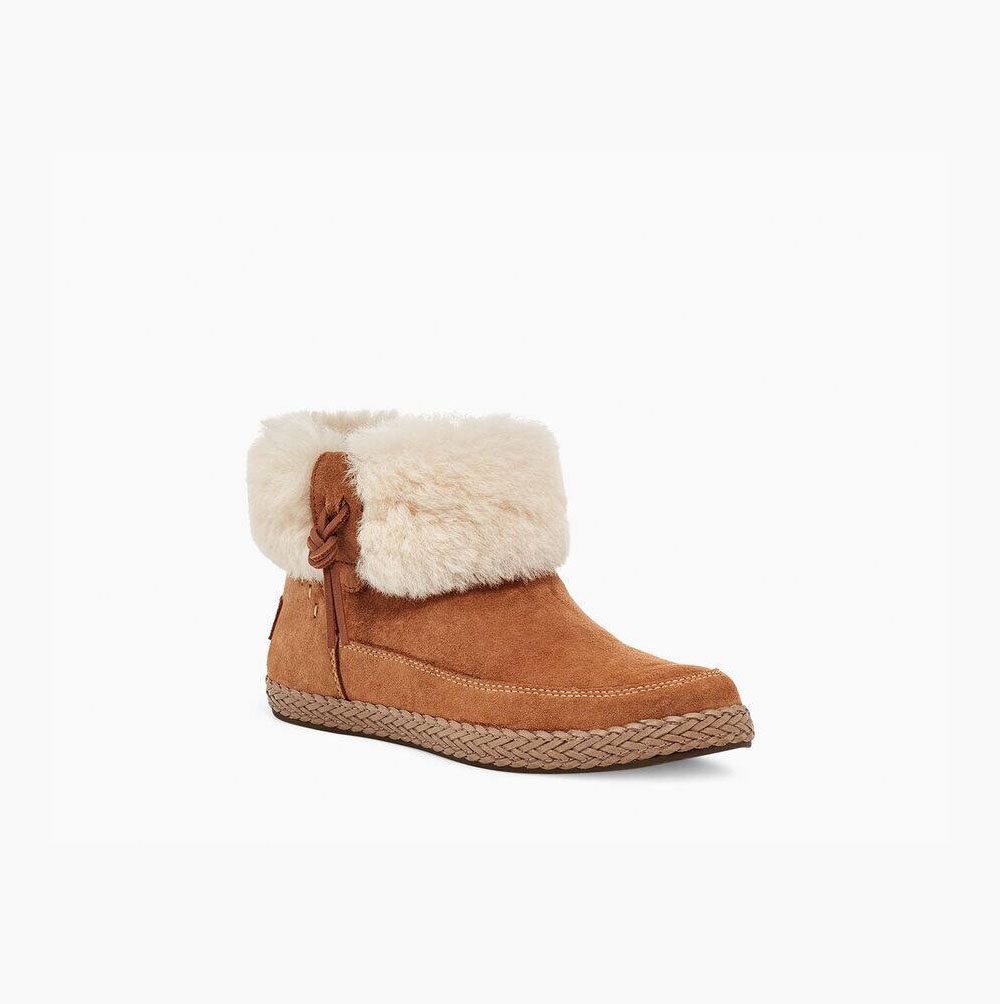 UGG Elowen - Boots Dame - Brune (NO-I336)